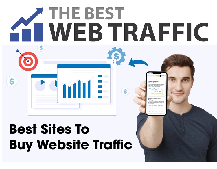 Website Traffic Service Provider in Pretoria