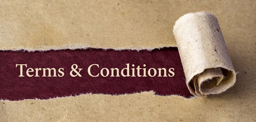 term-and-conditions-digital-marketing-pta